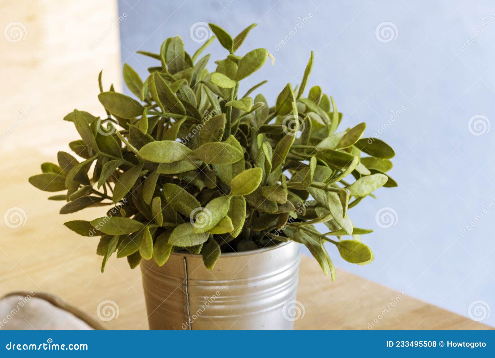 Plant Pot Office Decor on Wood Table. Green Decorate Home Office ...