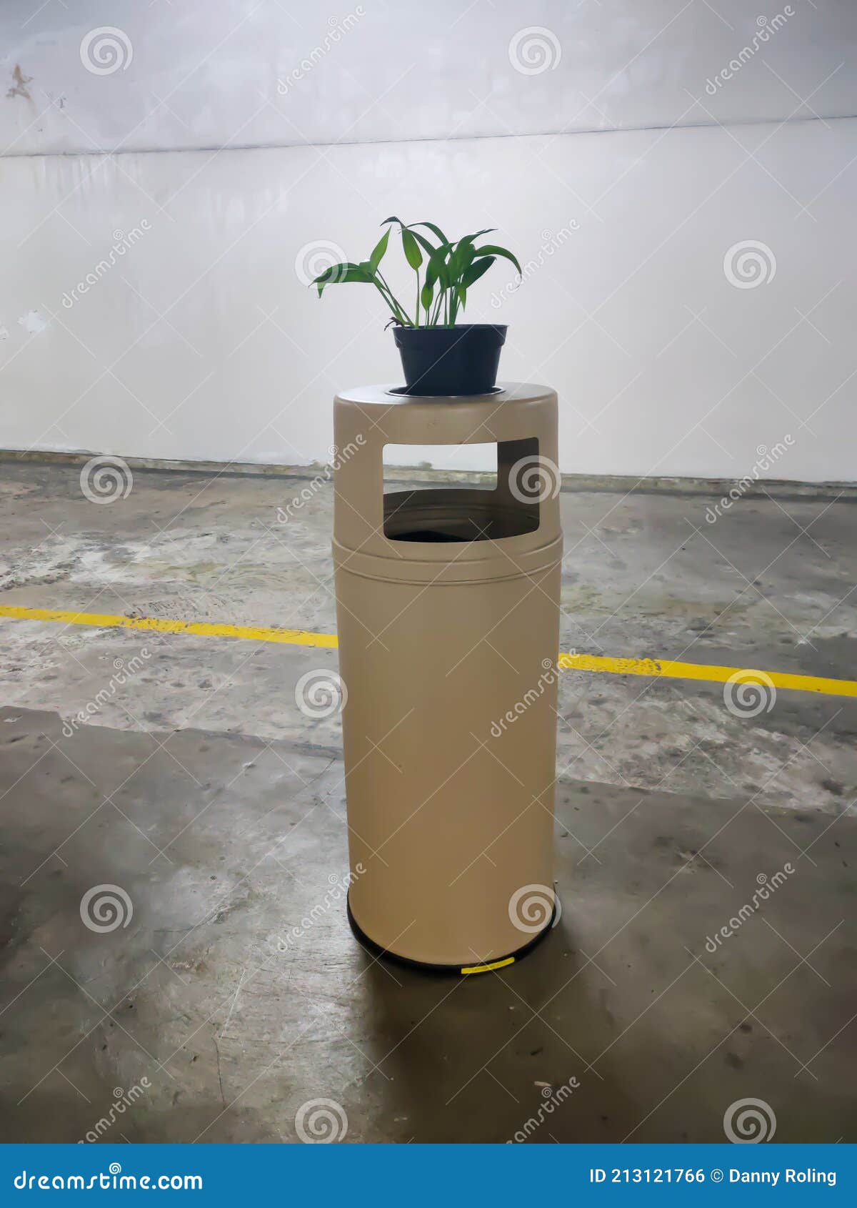 plant on the pot in the trashbin