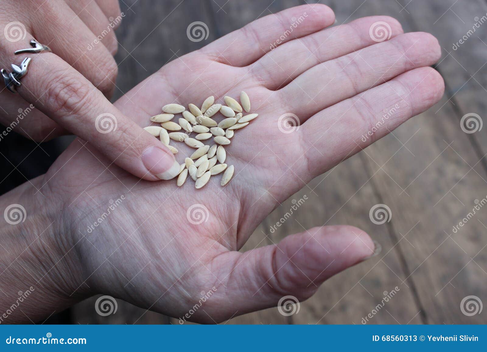 Какие семена для дачи. Семена. Семена огурцов на руке. Качественные семена. Некачественные семена.