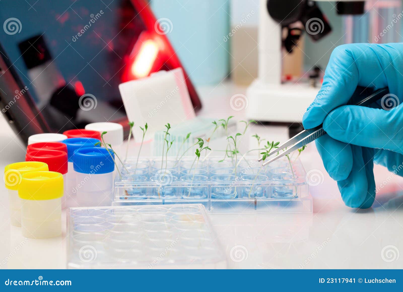 Plant selection stock image. Image of scientific, microbiology 23117941