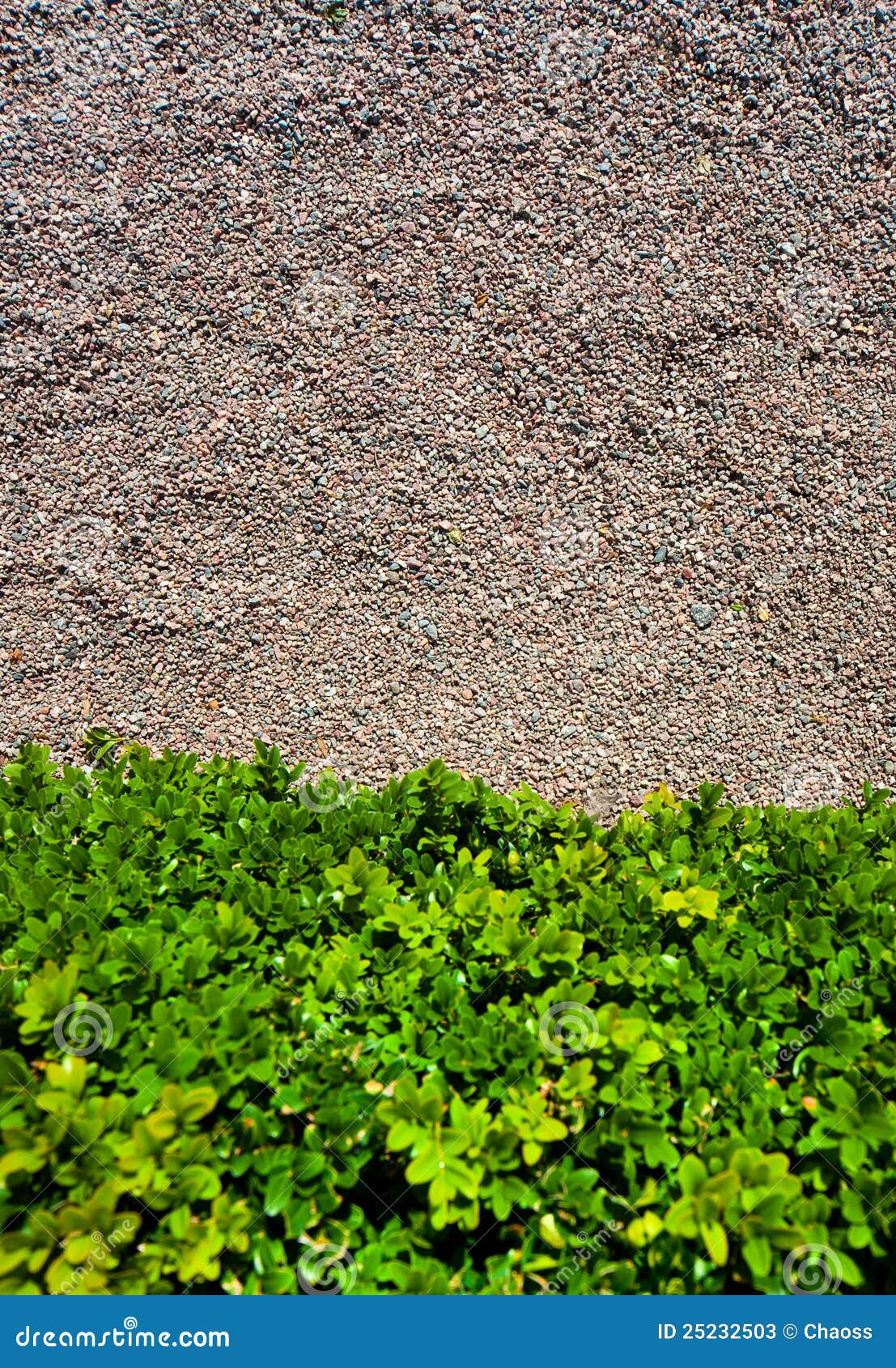 Plant and small stones stock image. Image of bush, stone 25232503