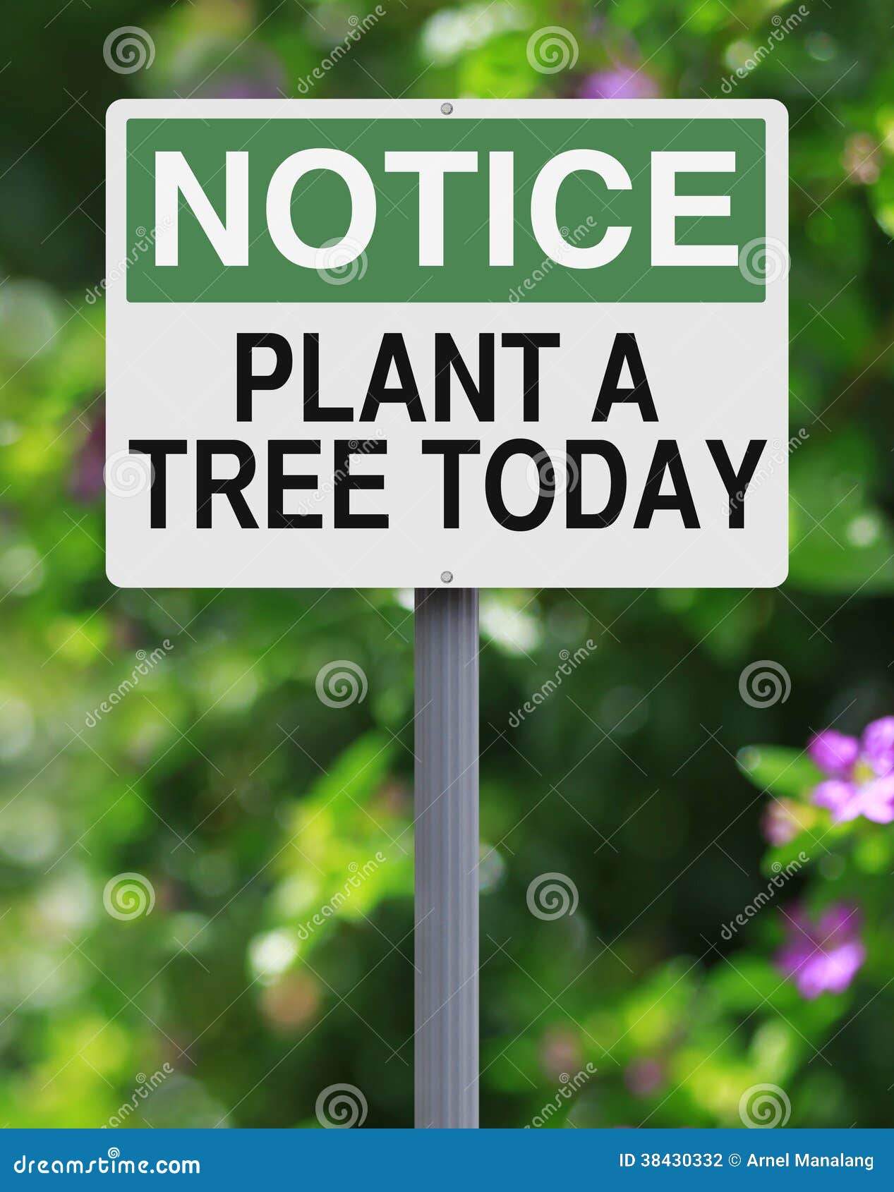 Plant a Tree Today stock photo. Image of today, green 38430332