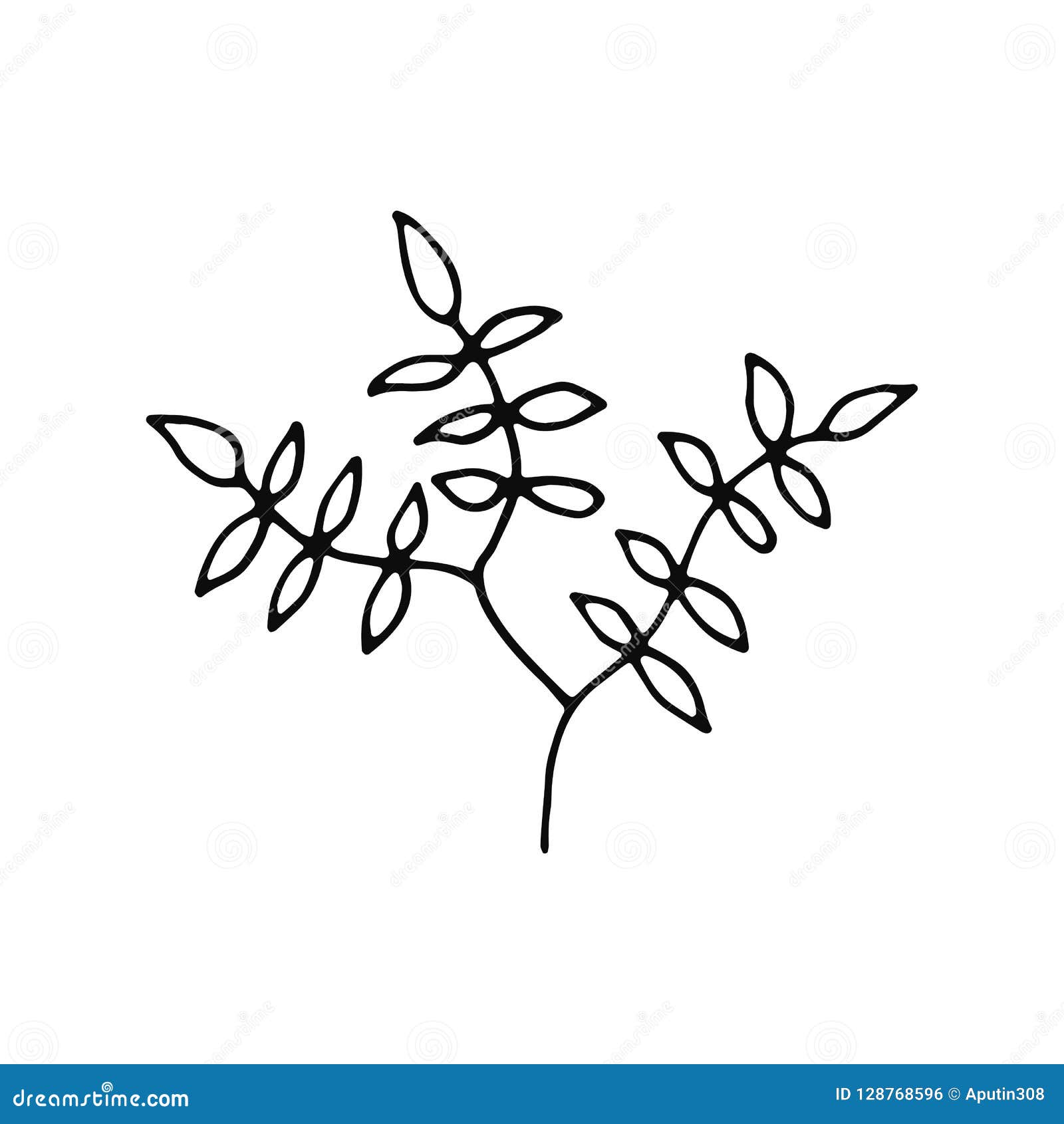 How to sketch twig with leaf and flower  Pencil Sketch  YouTube