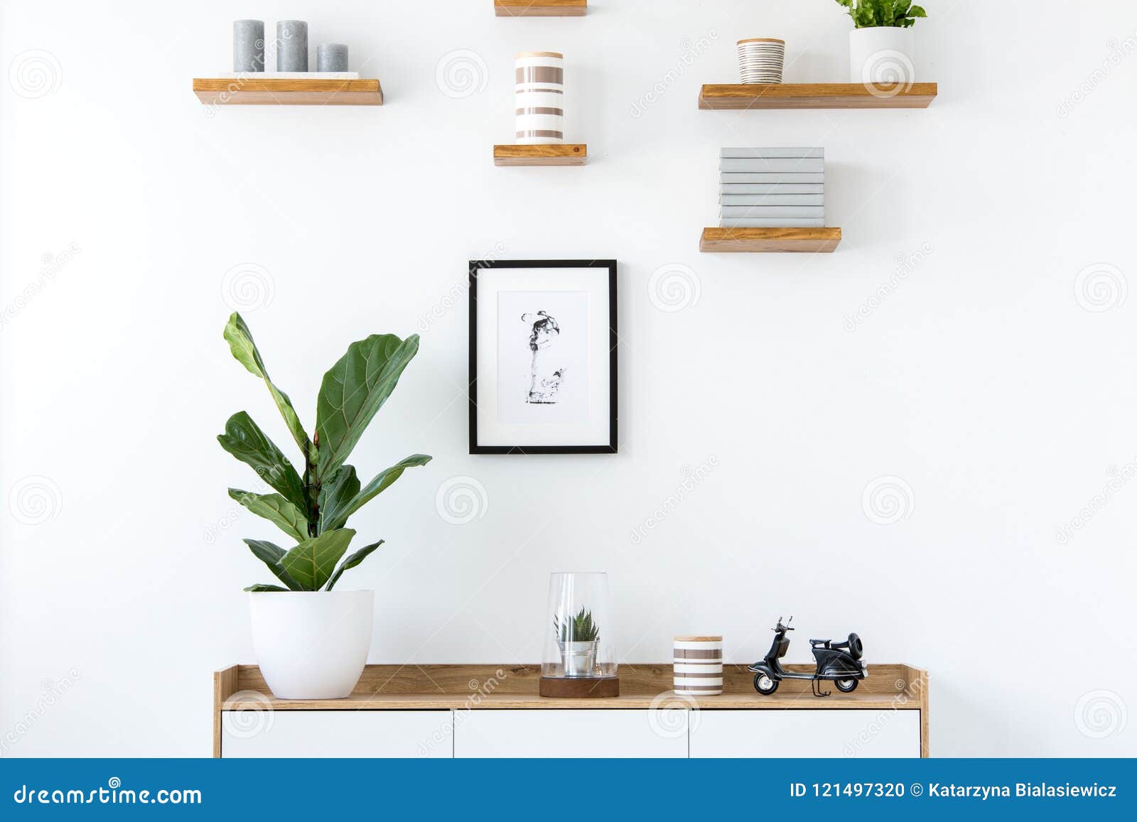 plant on wooden cupboard in minimal flat interior with poster an