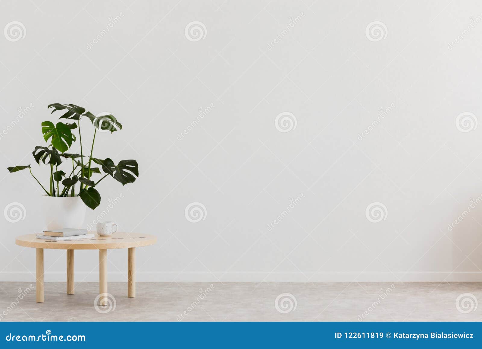 plant on wooden table against white empty wall with copy space in living room interior. real photo. place for your furniture