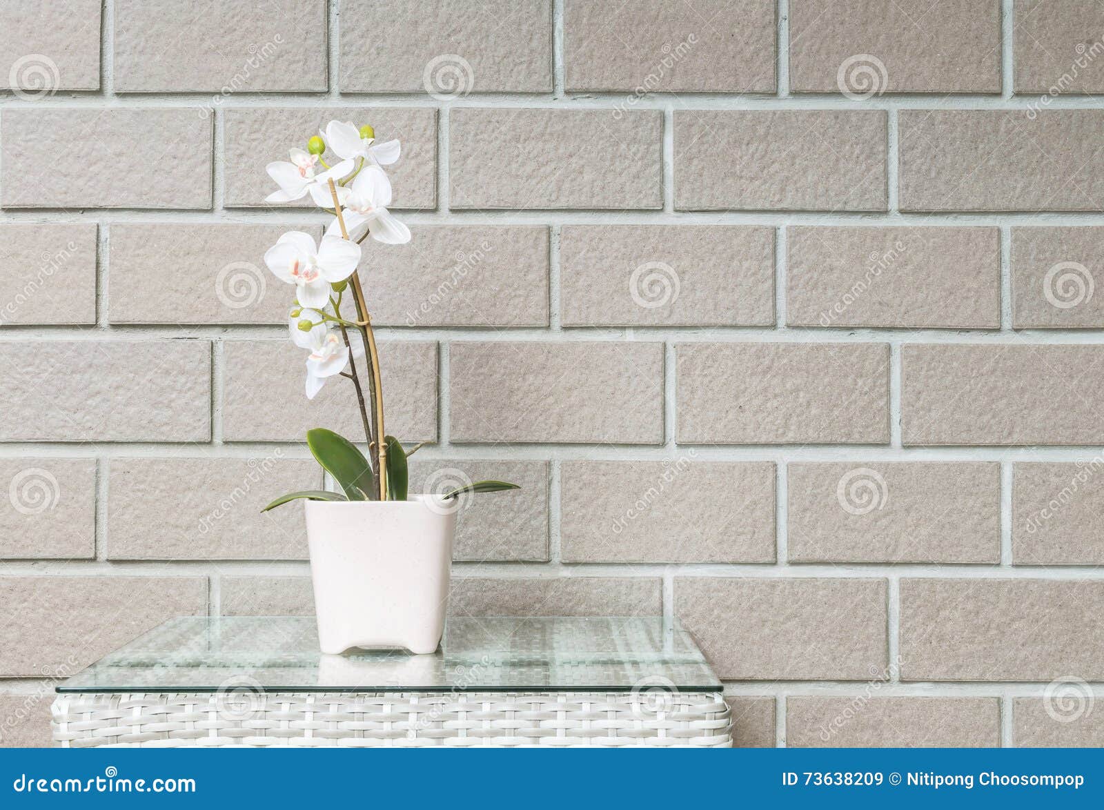 Planta Artificial Del Primer Con La Flor Blanca De La Orquídea En La Maceta  Rosada En La Tabla De Madera De La Armadura En Backg Imagen de archivo -  Imagen de follaje,