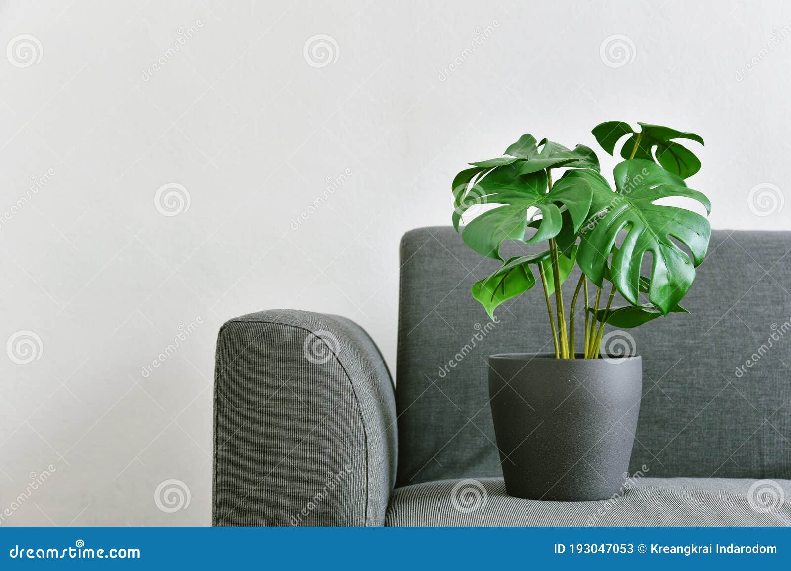 Planta Artificial Philodendron Monstera Plantado En Sofá Planta Interior  Hogar Tropical Imagen de archivo - Imagen de travieso, casa: 193047053