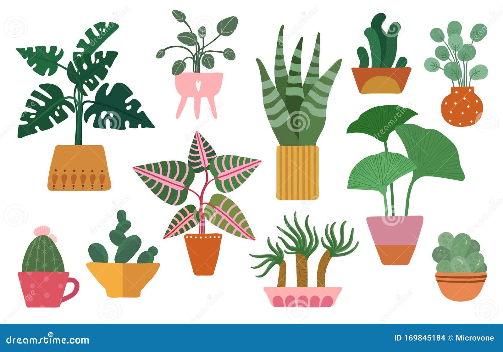 Plantas Da Casa Arranjadas No Círculo, Ilustração Desenhada À Mão Do Vetor  Panelas, Cactos E Suculentas Bonitos Da Planta Da Casa. Isolado Item Do  Desenho Animado No Estilo Escandinavo Royalty Free SVG