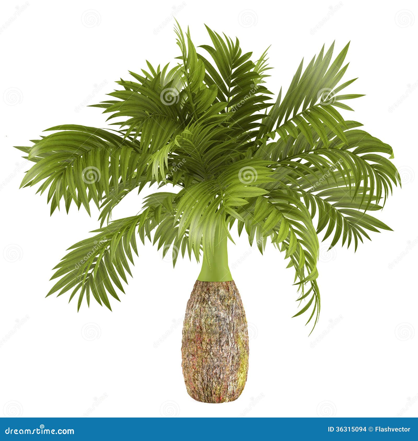 Preciso Observación Saqueo Planta Decorativa De La Palma Stock de ilustración - Ilustración de  arbusto, tronco: 36315094