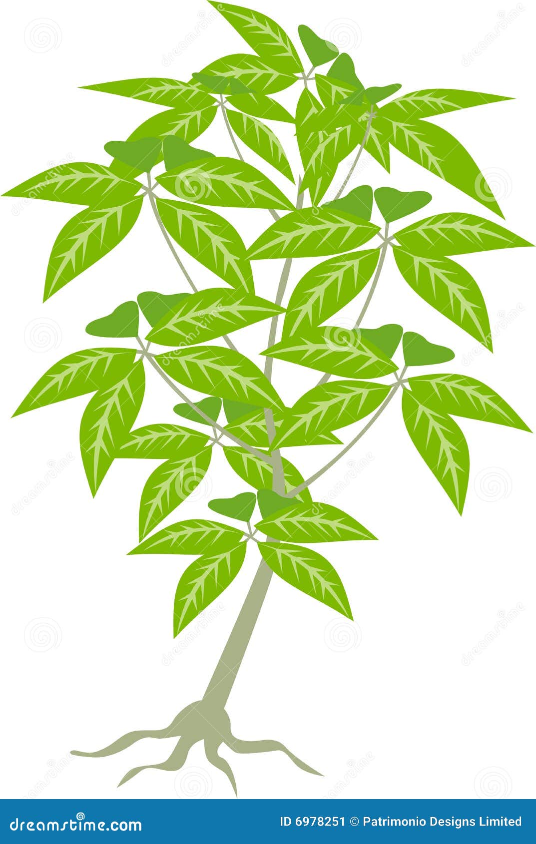 Planta Del árbol De La Selva Ilustración del Vector - Ilustración de amplio, flora: 6978251 Planta Del árbol De La Selva Ilustración del Vector - Ilustración de amplio, flora: 6978251