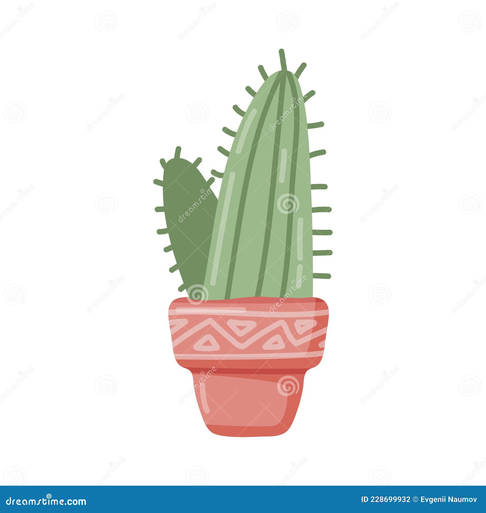 Ilustração Realista Do Vetor De Uma Planta Doméstica. Cactus Florescente  Suculento Num Vaso Ilustração do Vetor - Ilustração de desenho, cacto:  214390555