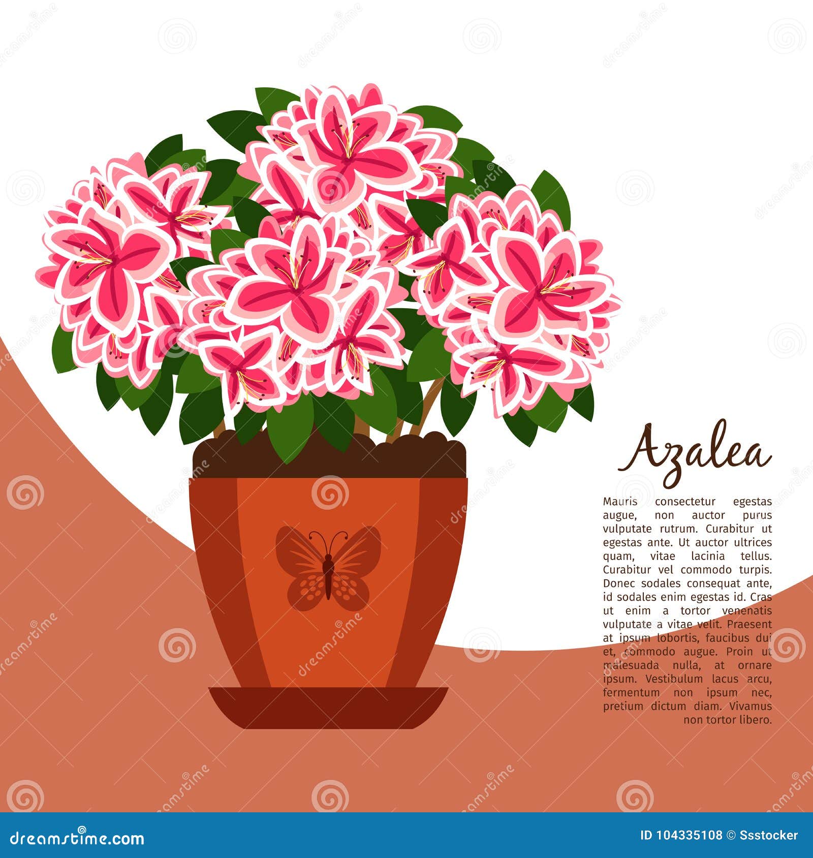 Planta Interior De La Azalea En Bandera Del Pote Ilustración del Vector -  Ilustración de rosa, planta: 104335108