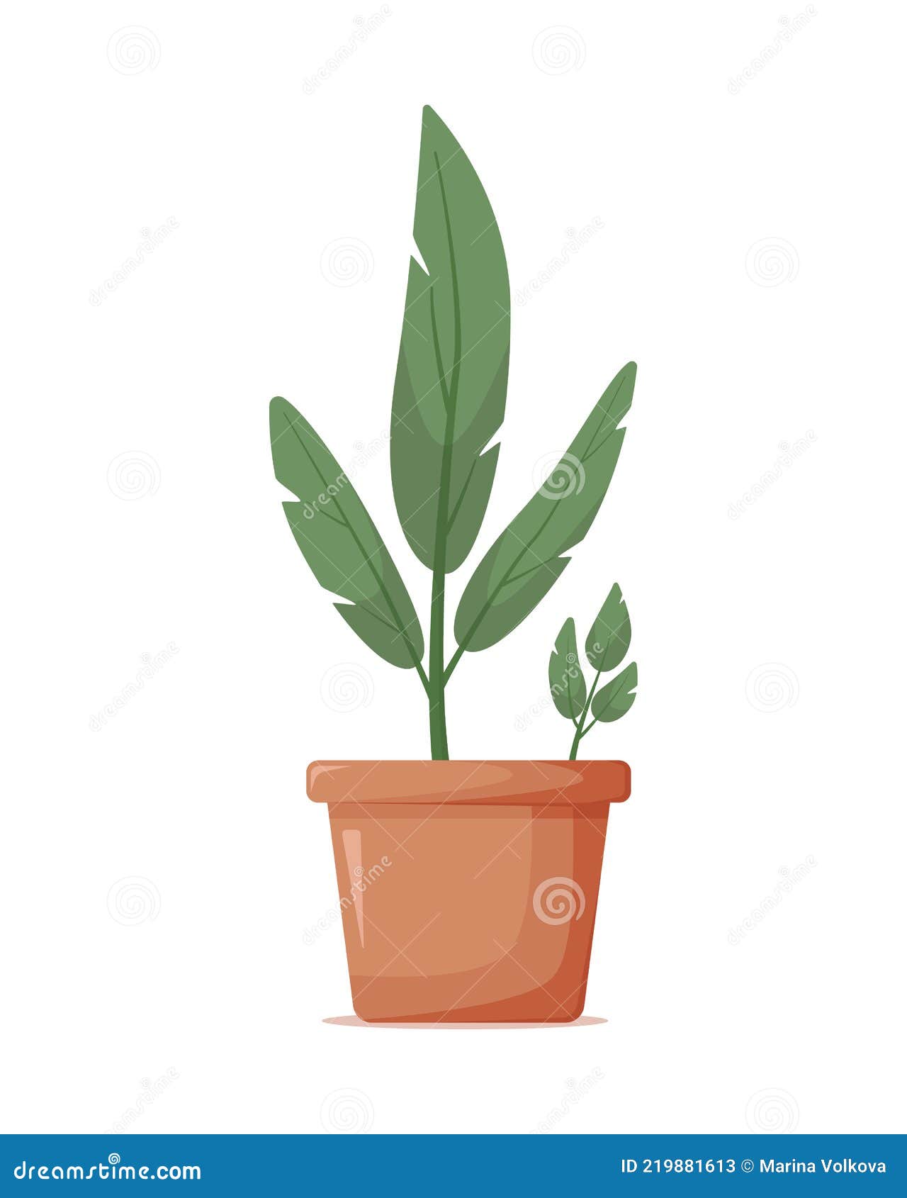 Planta Verde Caseira Com Folhas Compridas Sem Flores Em Vaso Grande De  Argila Ilustração do Vetor - Ilustração de isolado, jardinar: 219881613