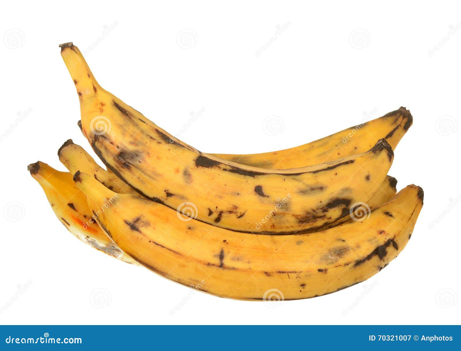 Plantain banana stock image. Image of fruit, white, plantain 70321007