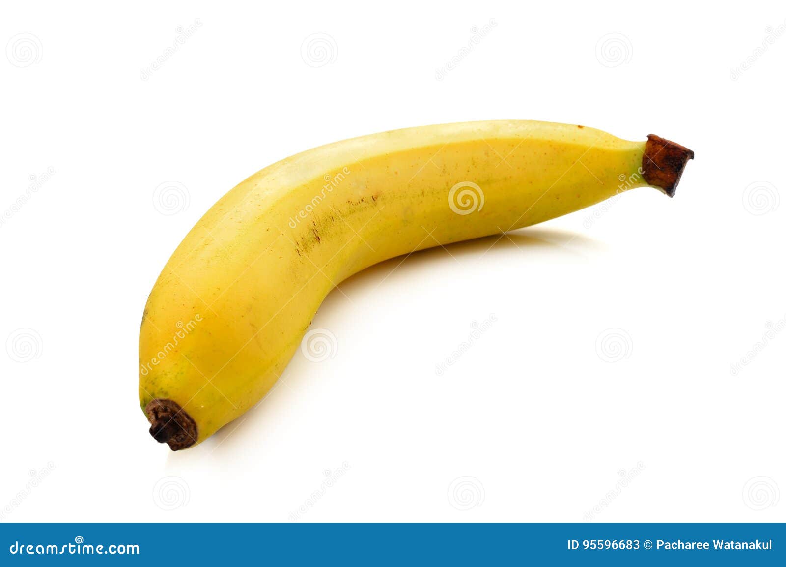 A Plantain Banana Isolated on White Background Stock Image Image of