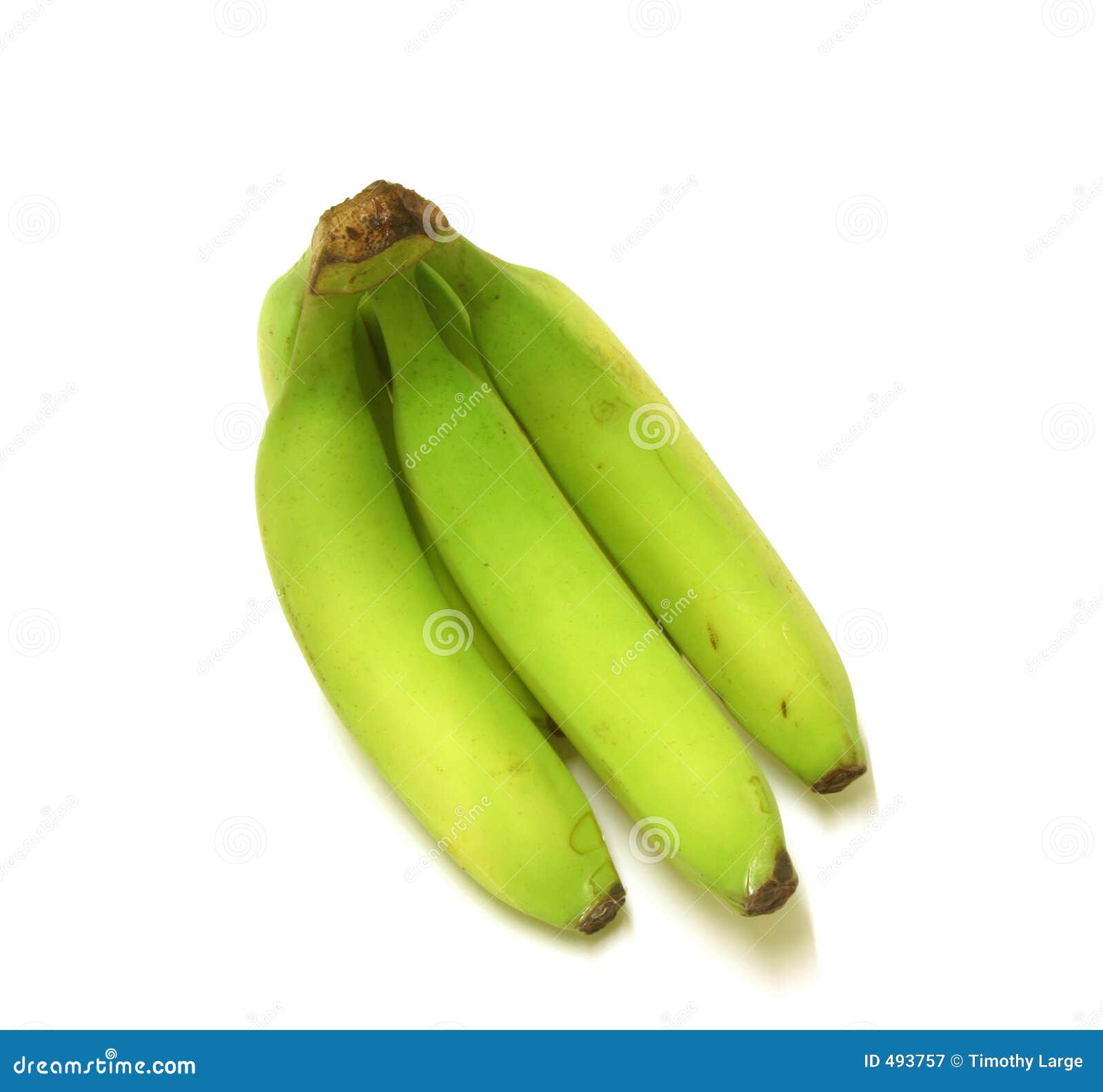 Plantain Green bananas stock image. Image of skin, ripe 493757