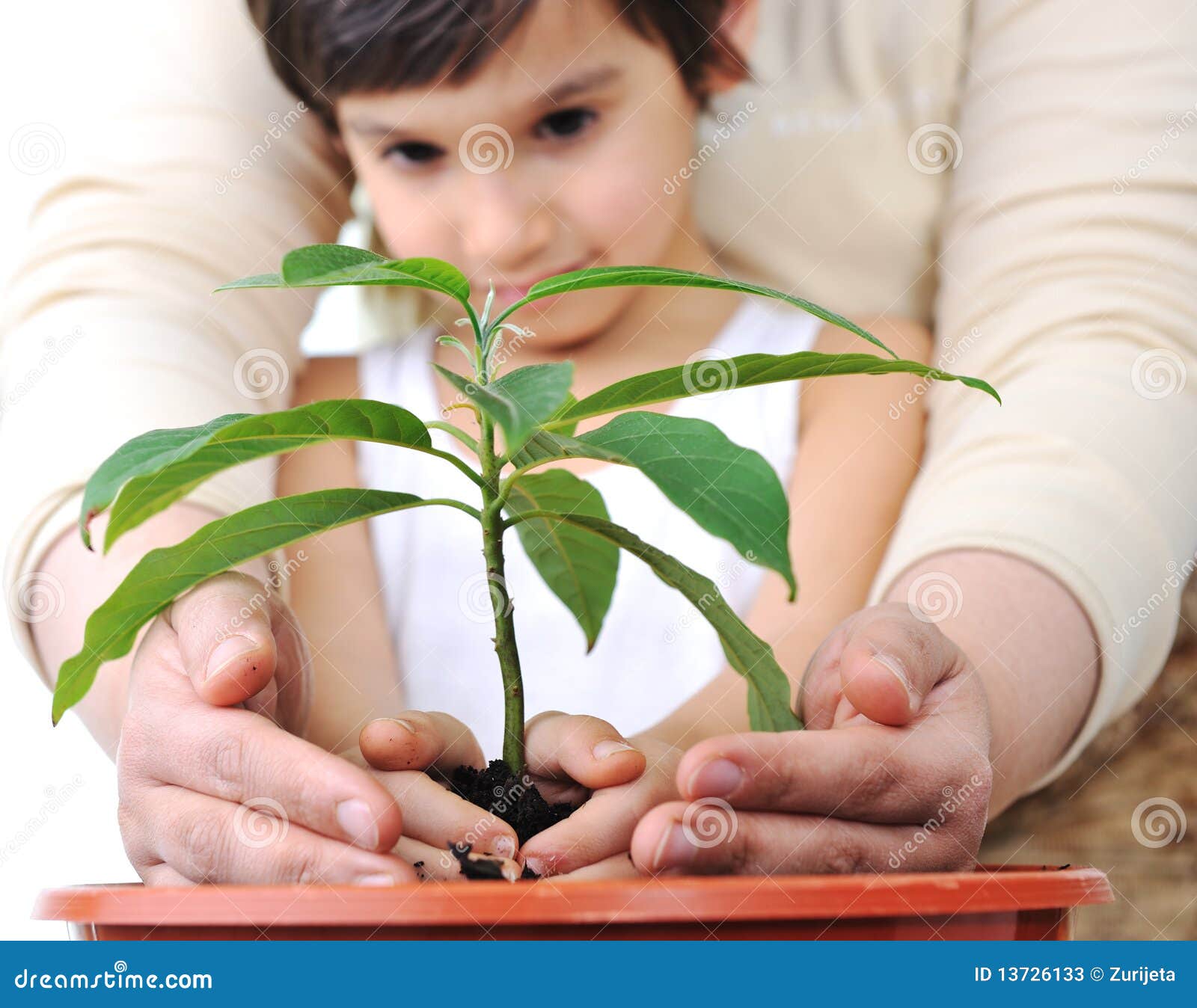 Plantando uma planta imagem de stock. Imagem de infância - 13726133