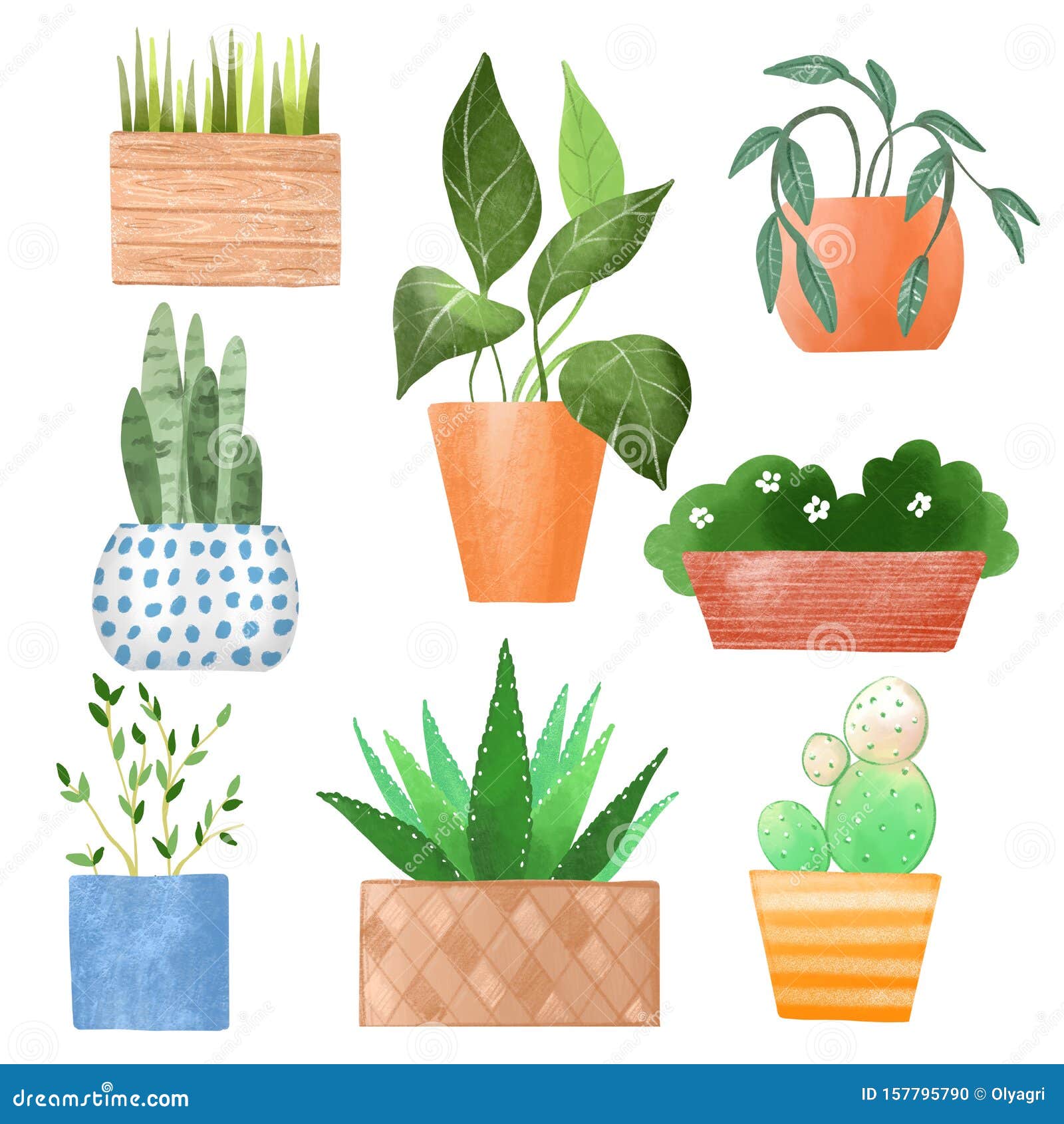 Plantas Cultivadas. Conjunto De Dibujos Animados Stock de ilustración -  Ilustración de extracto, flora: 157795790