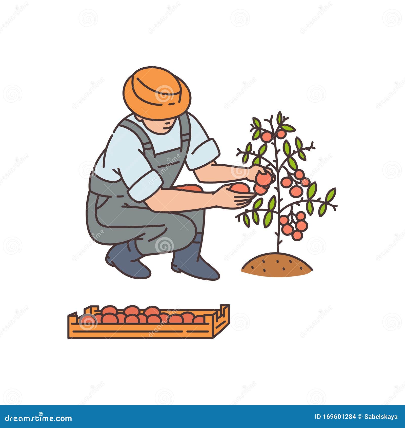 Plantas Cultivo De Tecnología Agrícola Dibujo Ilustrativo Vectorial Aislado  Ilustración del Vector - Ilustración de agricultura, invernadero: 169601284