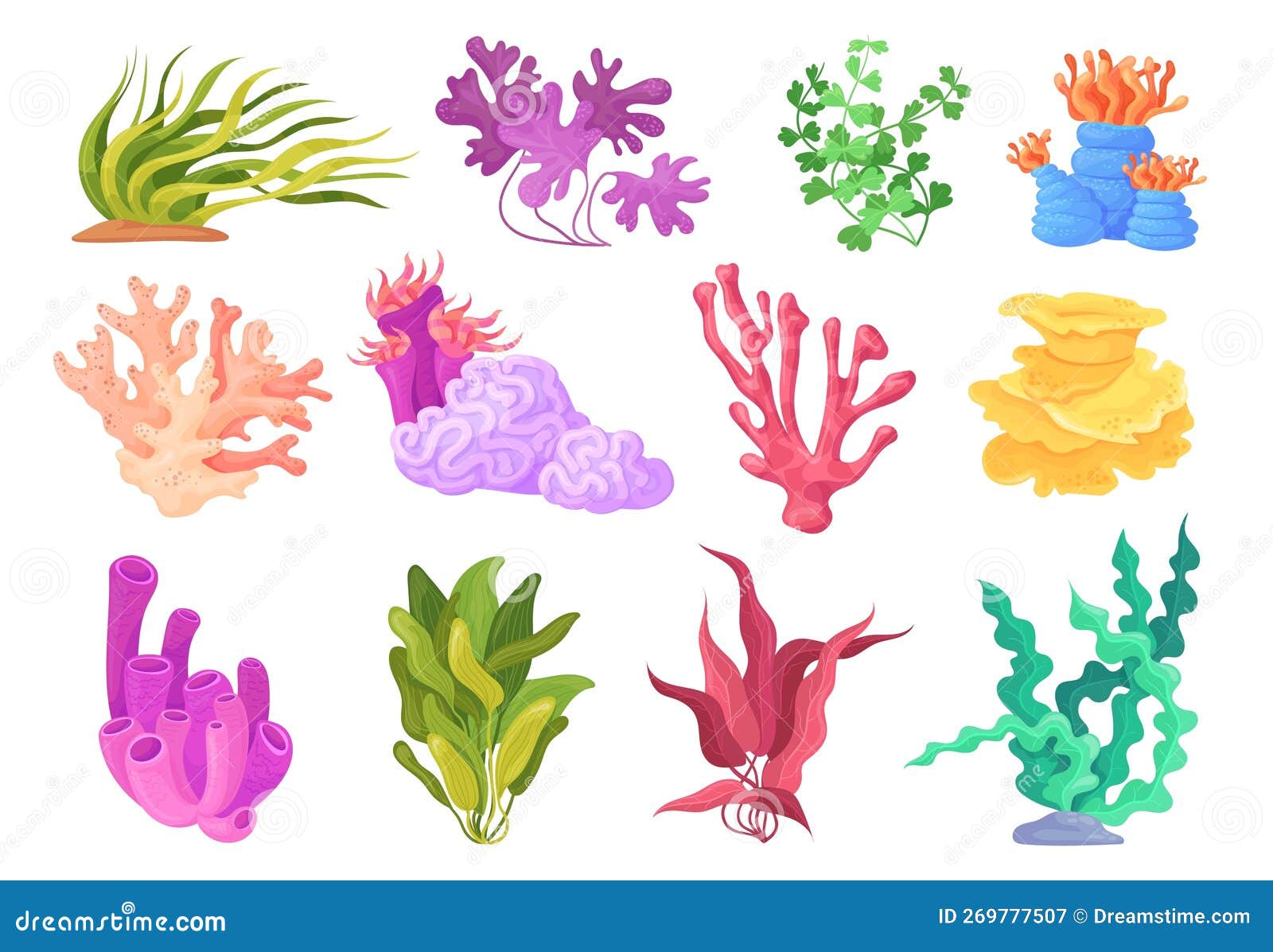 Plantas De Algas De Desenho Animado. Belas Algas Marinhas E Plantas De Algas  Corais Pintando Flora Laminária Submarina Fitoplâncto Ilustração do Vetor -  Ilustração de marinho, vida: 269777507