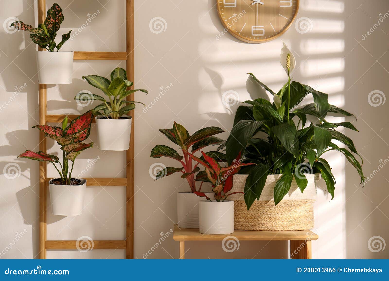 Elegante Escalera Decorativa Con Plantas De Casa Y Silla En Sala