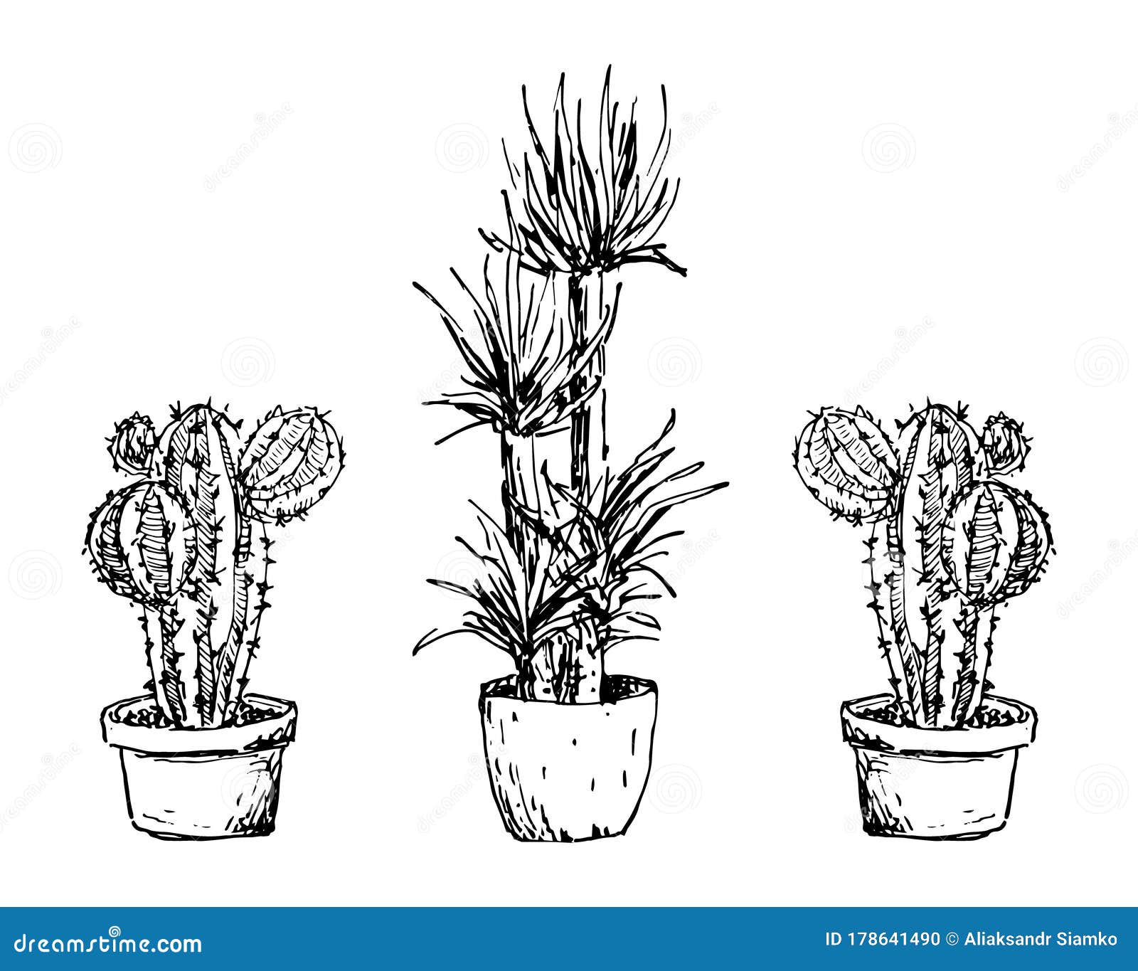 Conjunto De Cactos Em Bolbos De Flores. Desenho Desenhado à Mão Isolado Em  Branco Ilustração Stock - Ilustração de isolado, plantas: 253611264