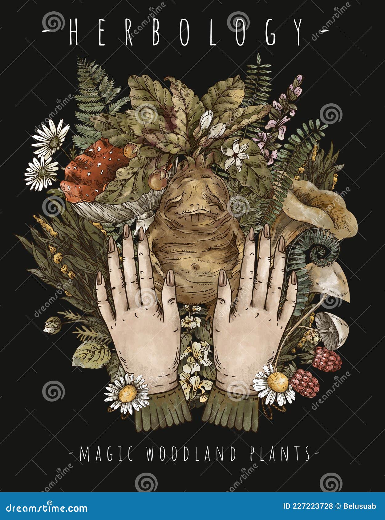 Vetores de Século 19 Entalhes De Um Mandrake Raiz e mais imagens de  Antiguidade - Antiguidade, Beleza, Desenho - iStock