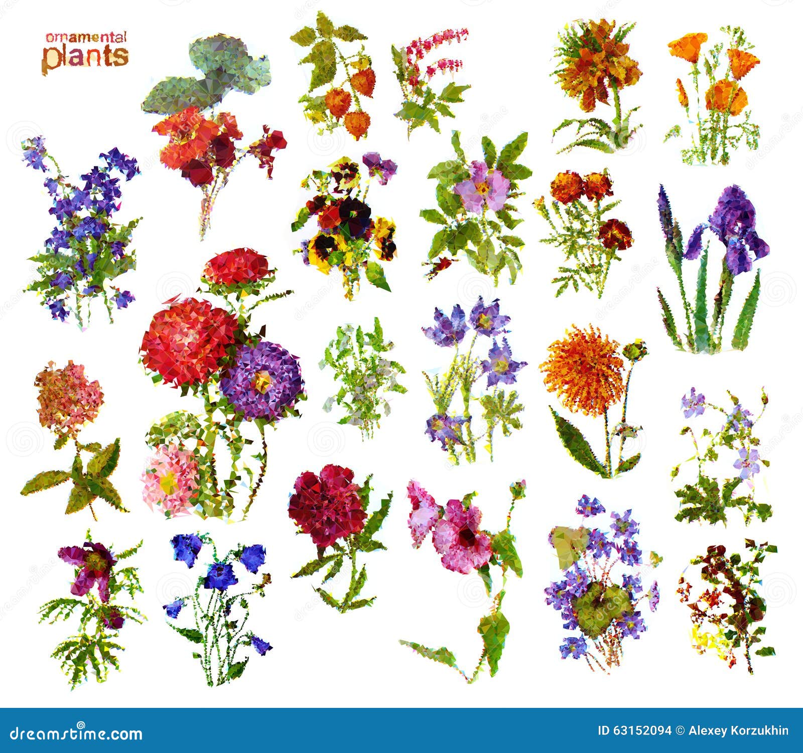 Plantas ornamentales ilustración del vector. Ilustración de salvaje -  63152094