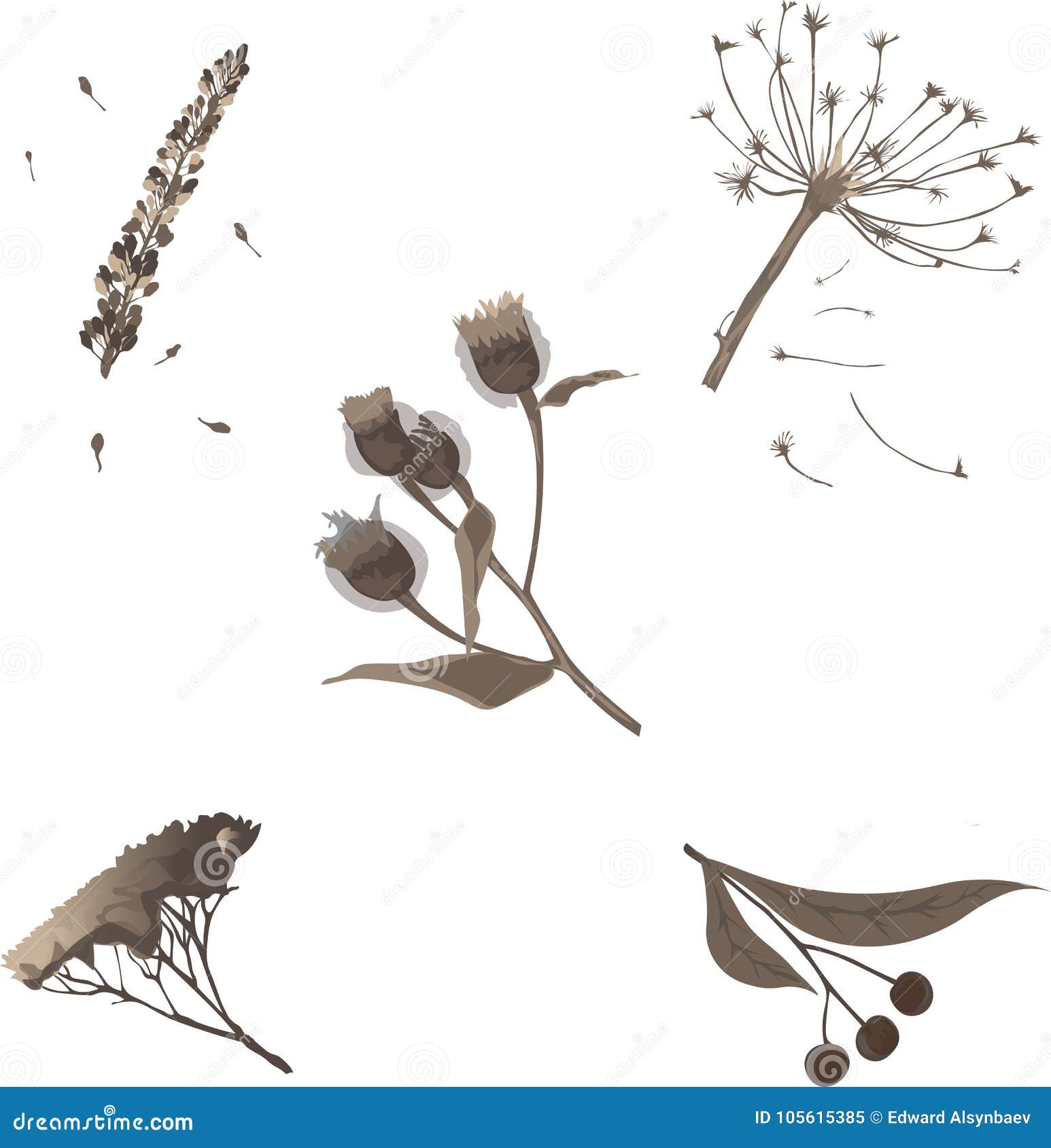Plantas Secas Pintadas No Inverno Ilustração Stock Ilustração de