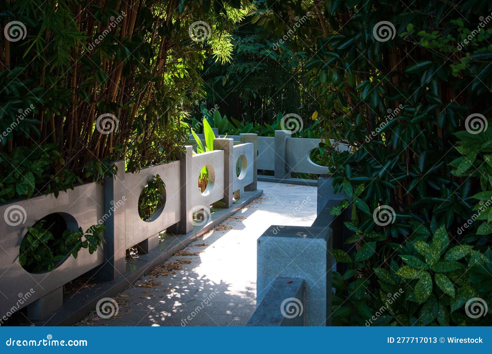 Planter Filled with a Diverse Array of Plants Situated Outside a ...