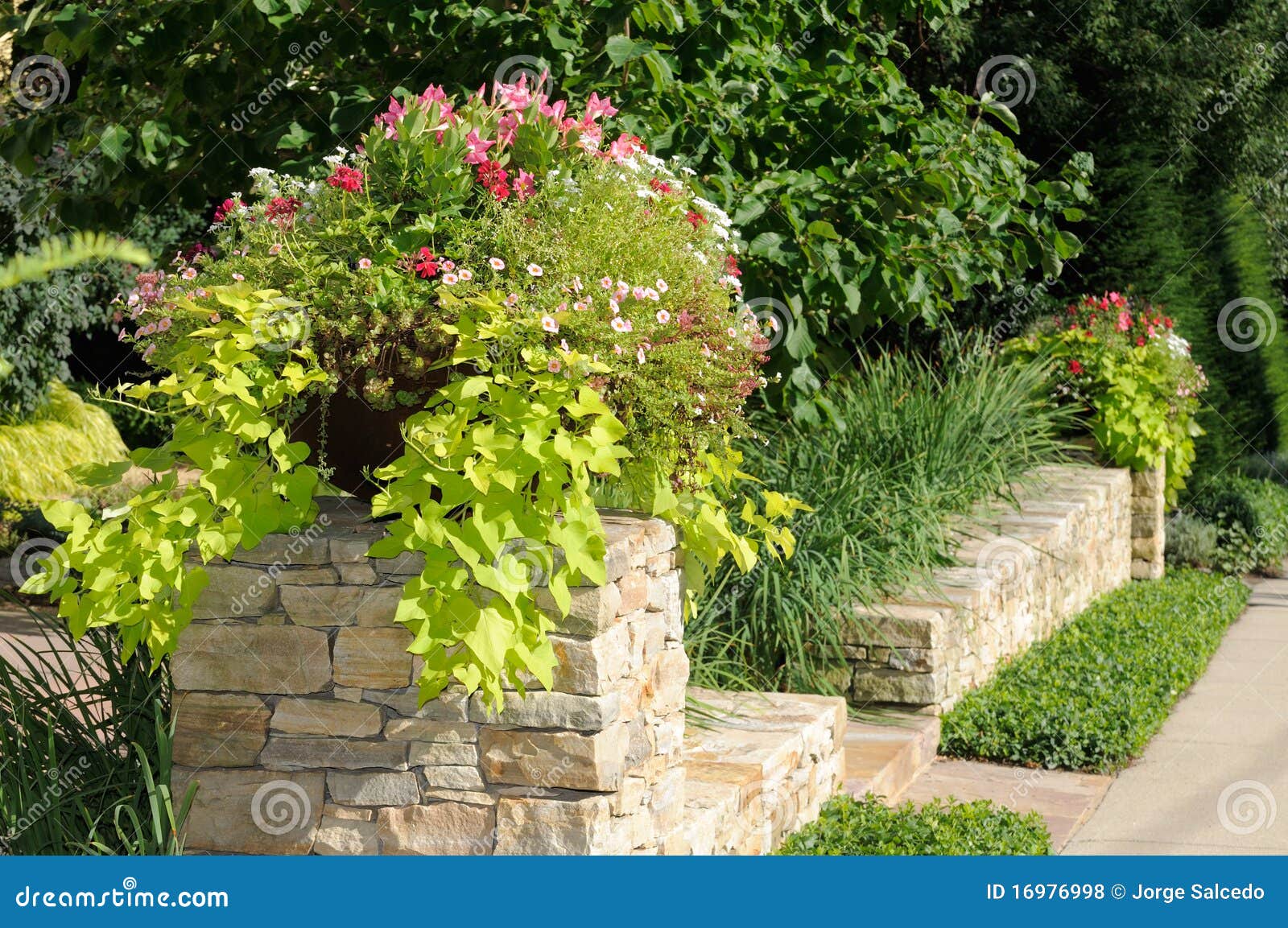 planter on stone wall