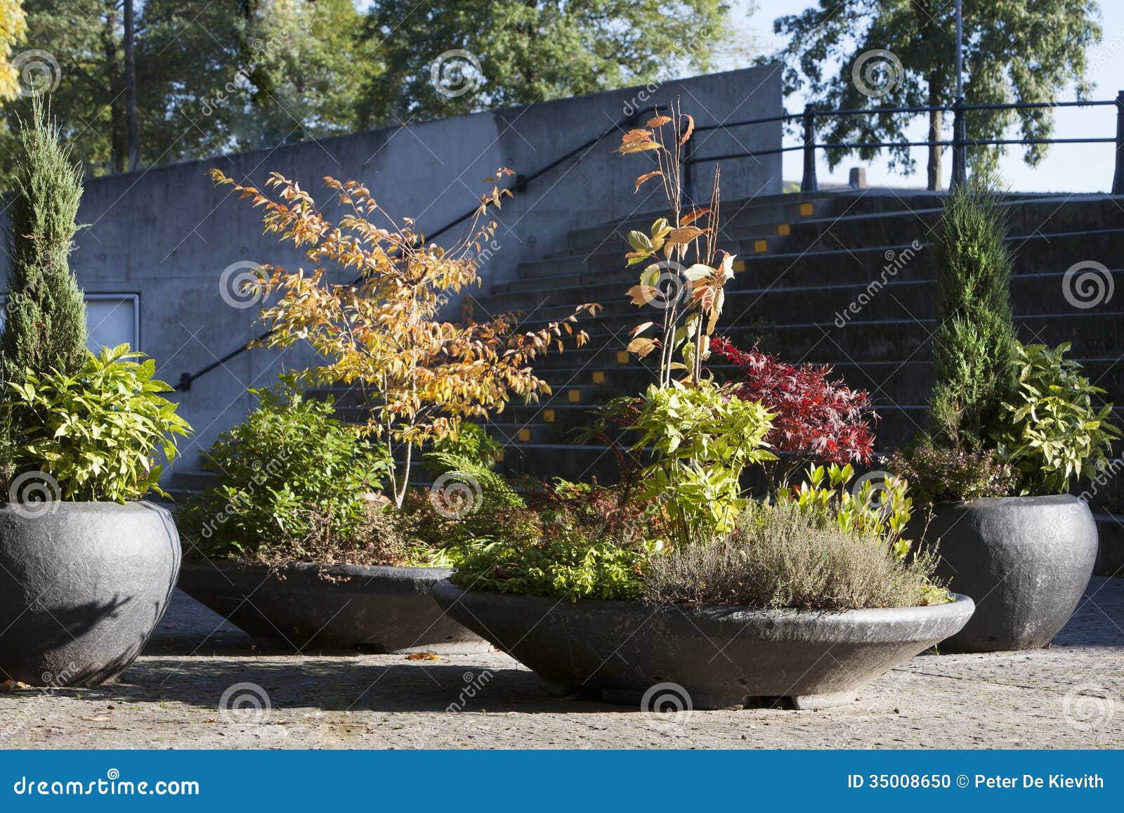 Planters in the street stock photo. Image of street, nature 35008650