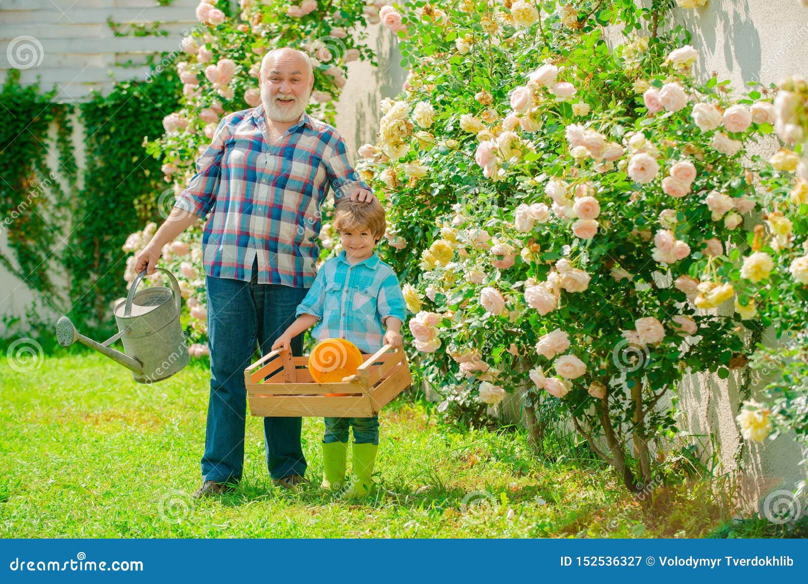 Planting Flowers Grandfather And Grandson In Beautiful Garden A
