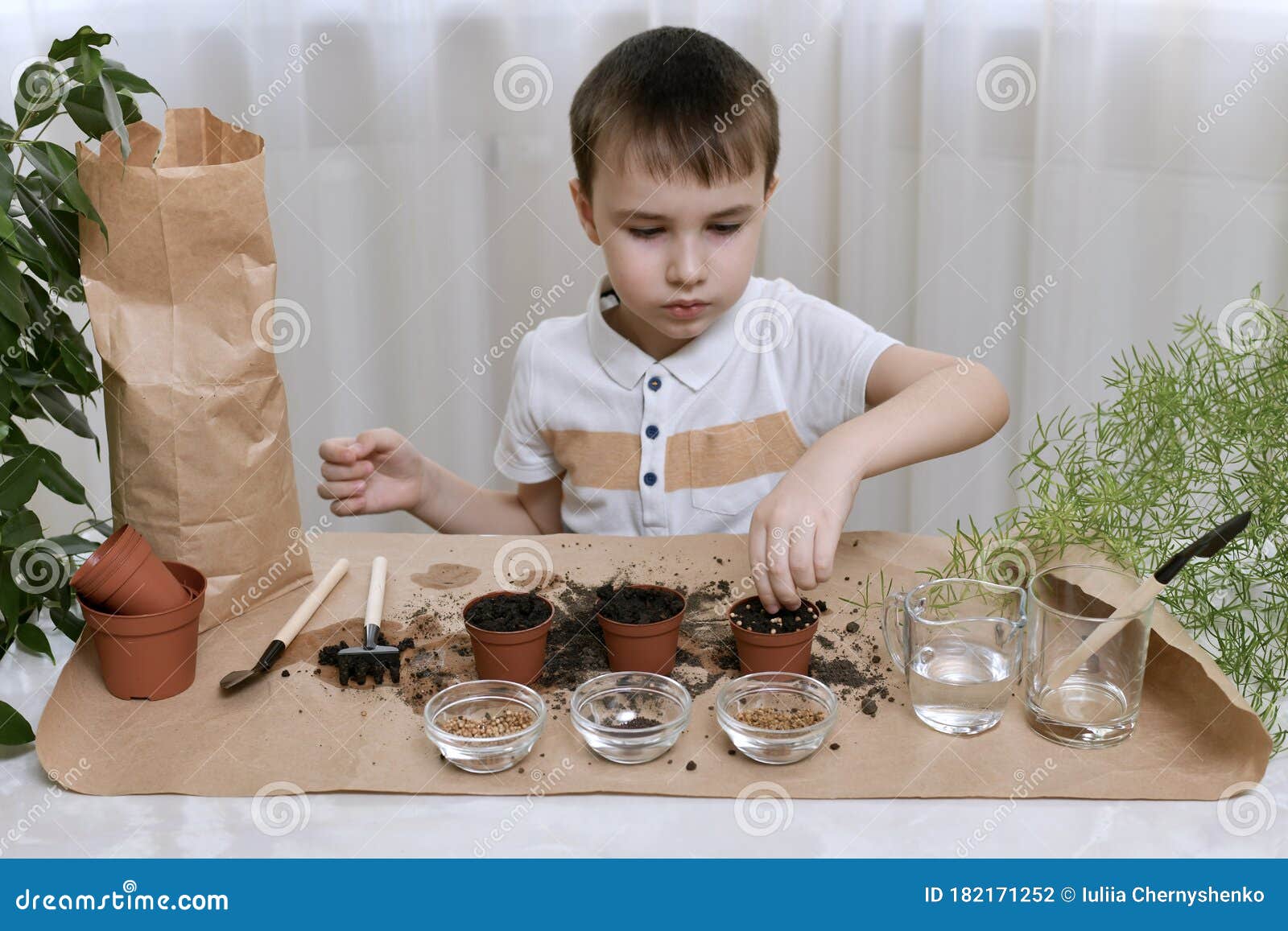 Planting Micro Greens Seeds in Pots. the Boy Sits Green Seeds in One of Three Pots from the Edge