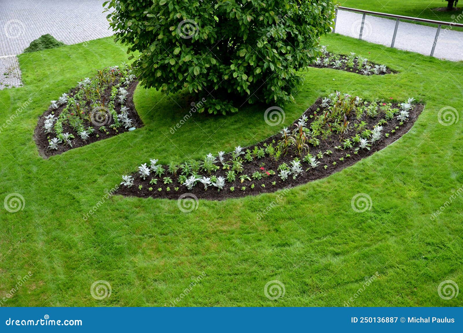 planting perennials in flower beds. annual rebates are various crescent trees cut between the terrain waves of the lawn mower that