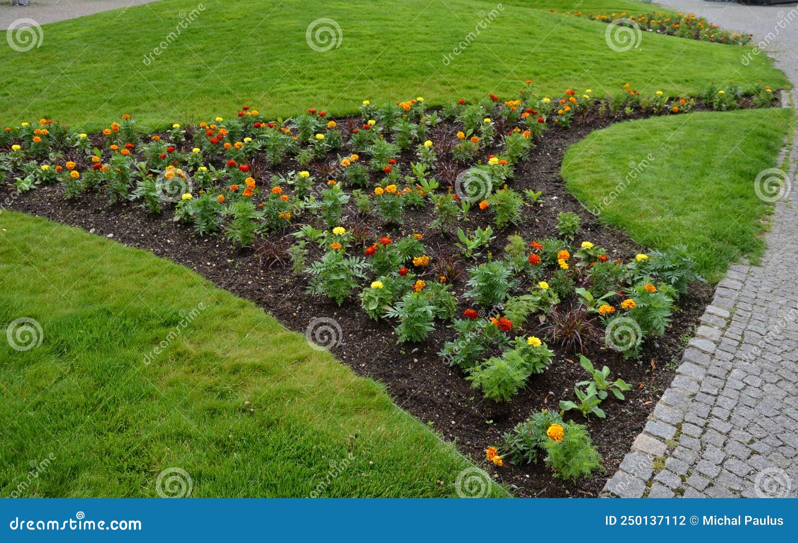 planting-perennials-in-flower-beds-annual-rebates-are-various-crescent