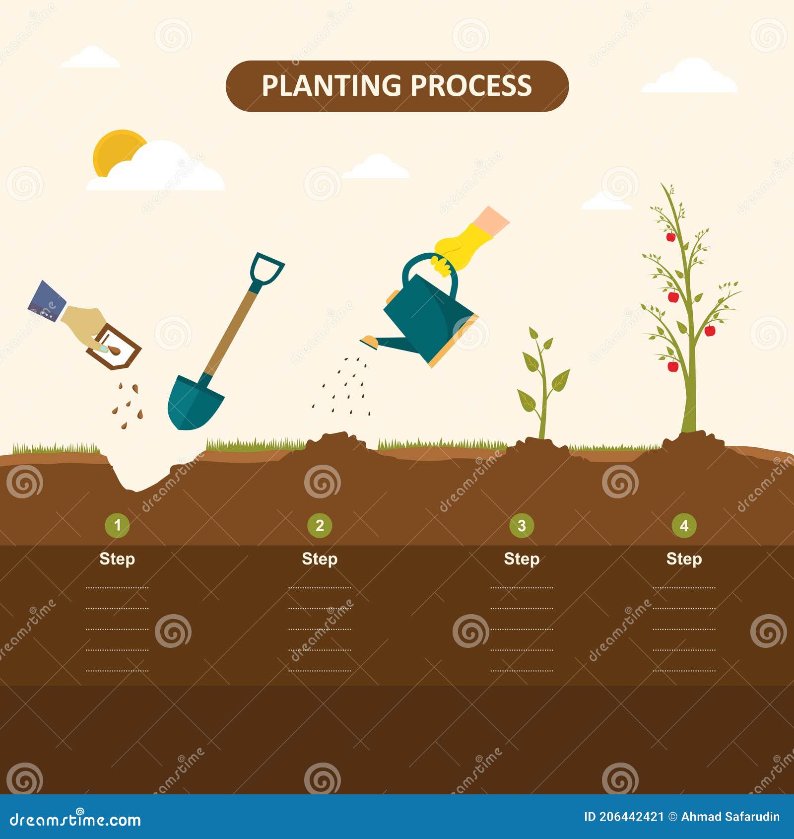 Planting The Seed Sequence Cartoon Vector | CartoonDealer.com #70228875