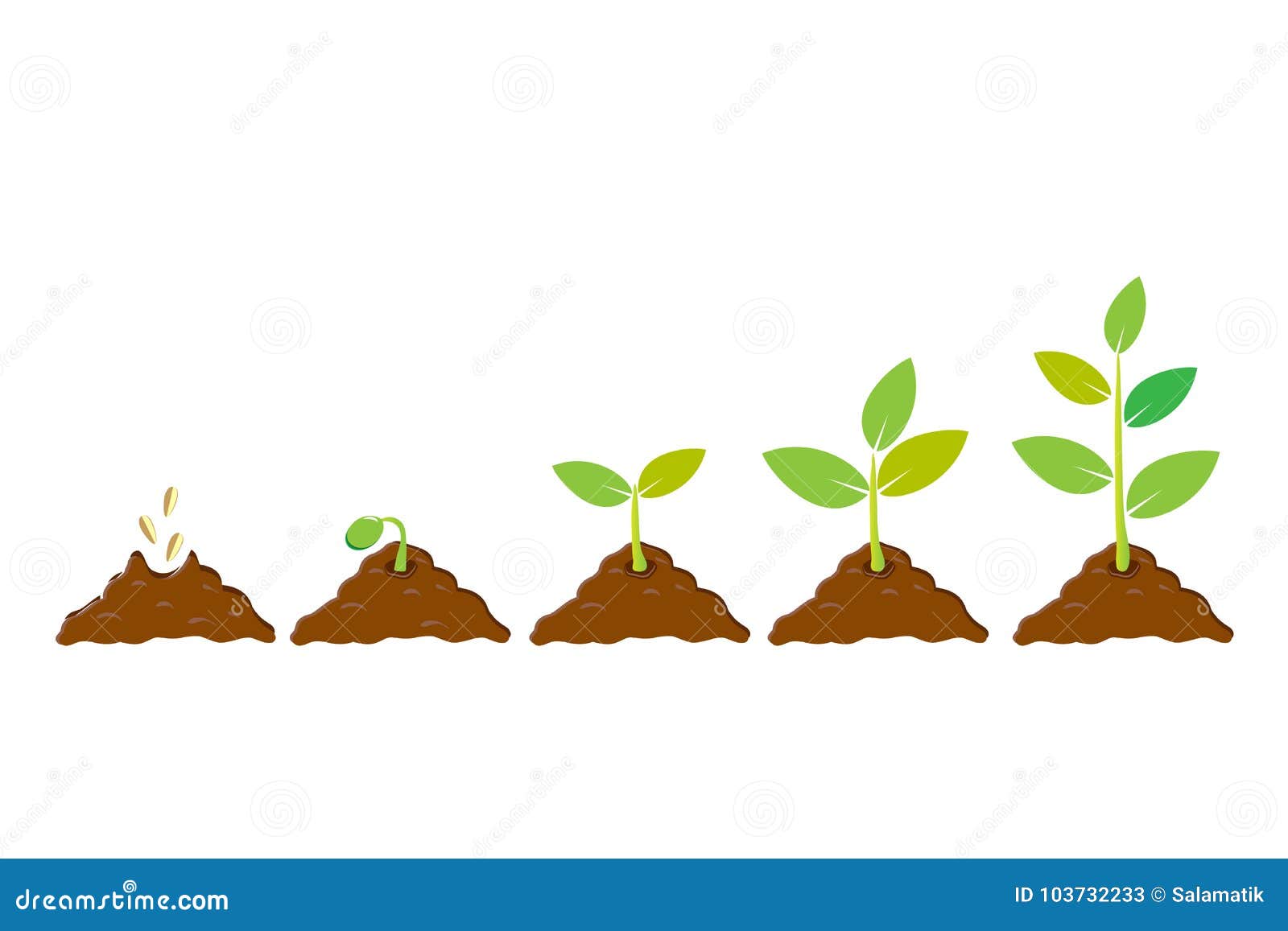 planting seed sprout in ground. infographic sequence grow sapling. seedling gardening tree. icon, flat  on white