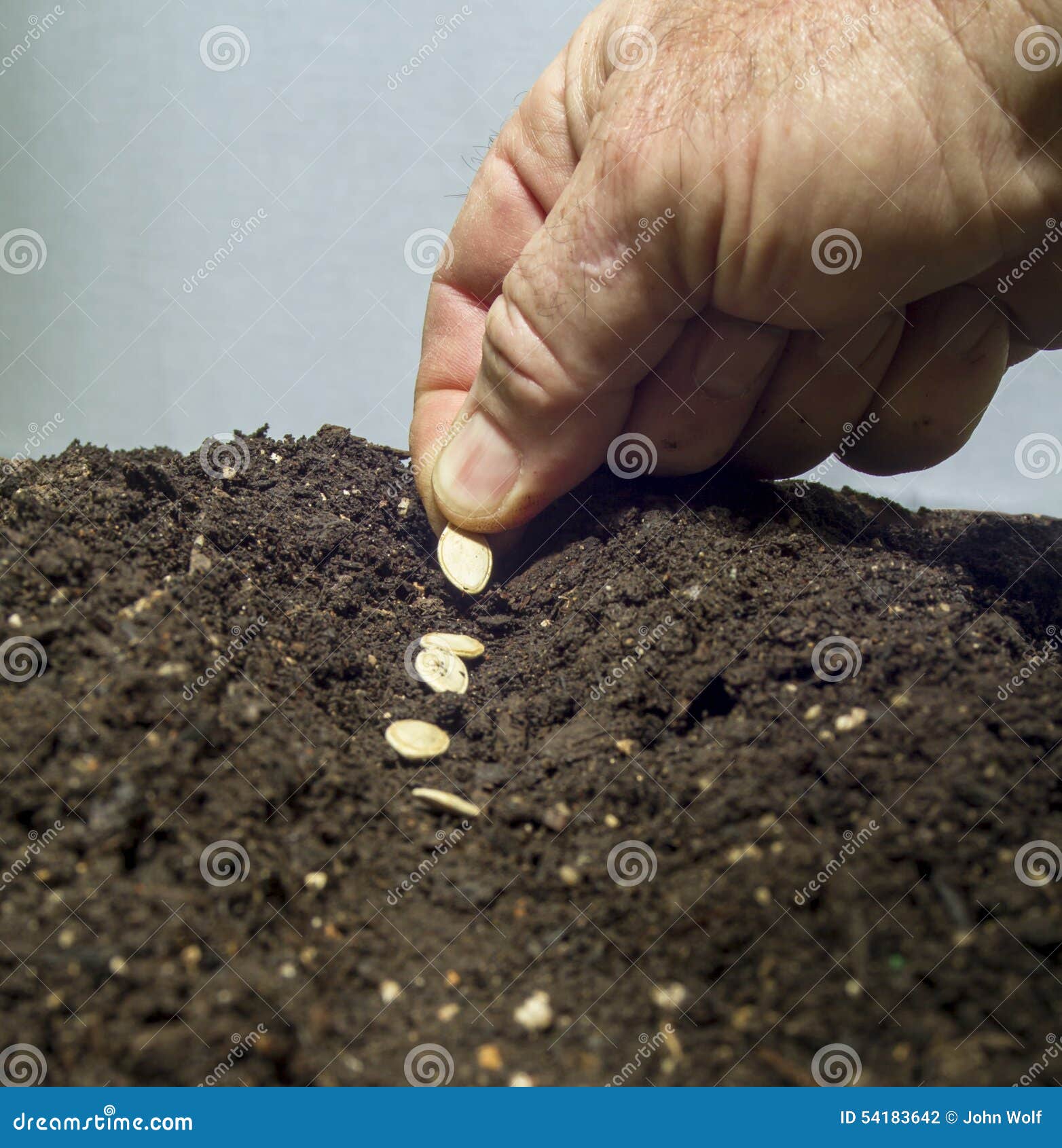 Planting Seeds in the Soil stock photo. Image of sowing 54183642