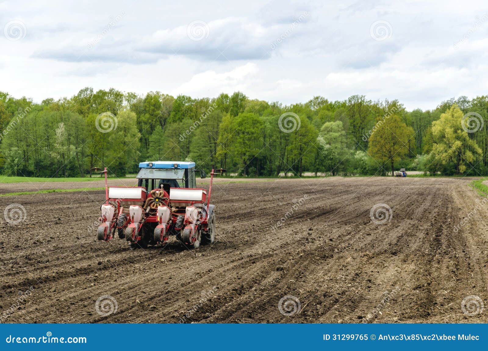Planting Seeds with Tractor Stock Image Image of country, tractor