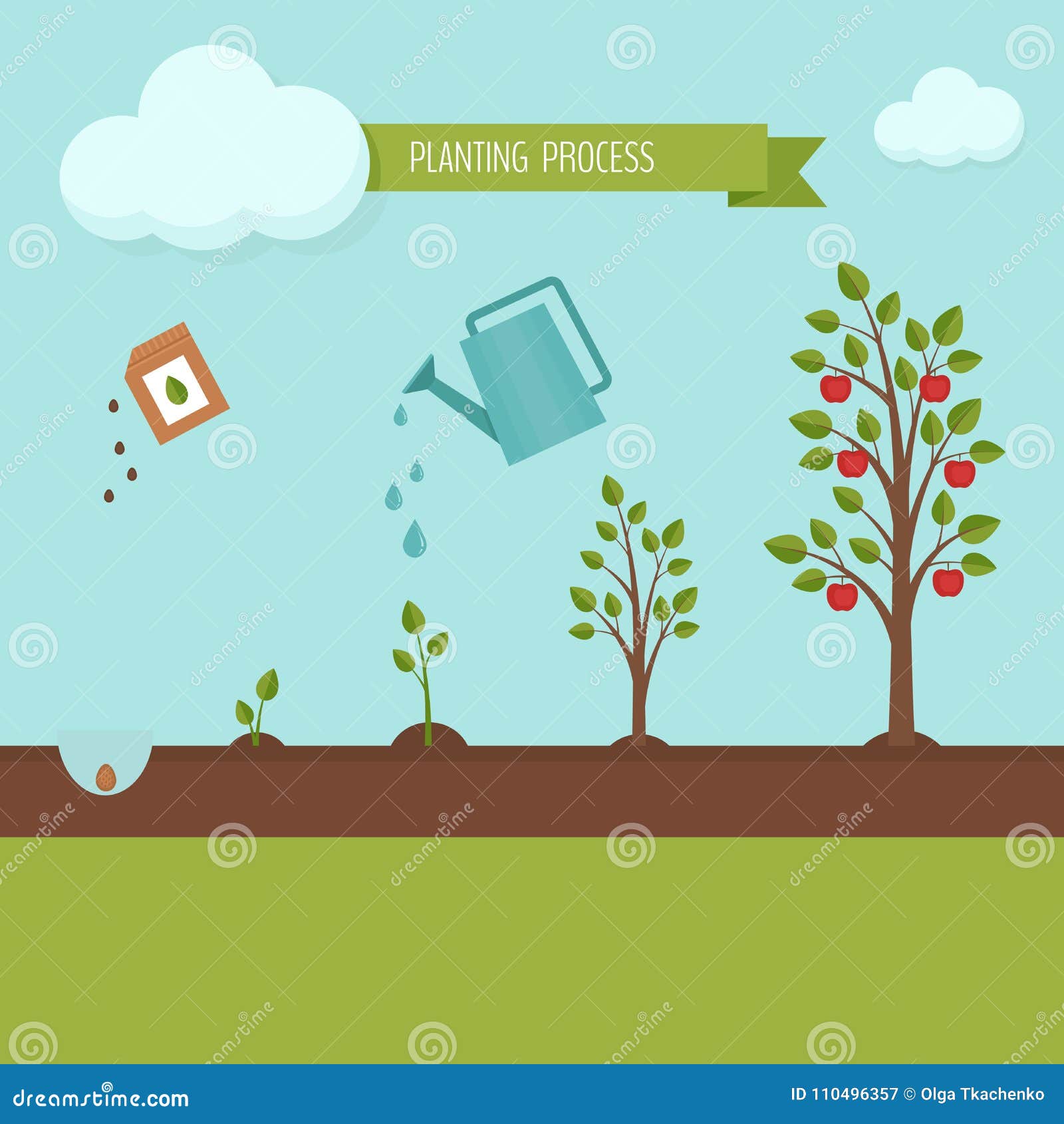 Planting Tree Process Infographic. Apple Tree Growth Stages Stock ...