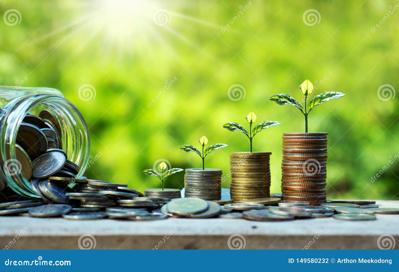 Planting Trees on Coins beside Bottles of Money on a Natural Background