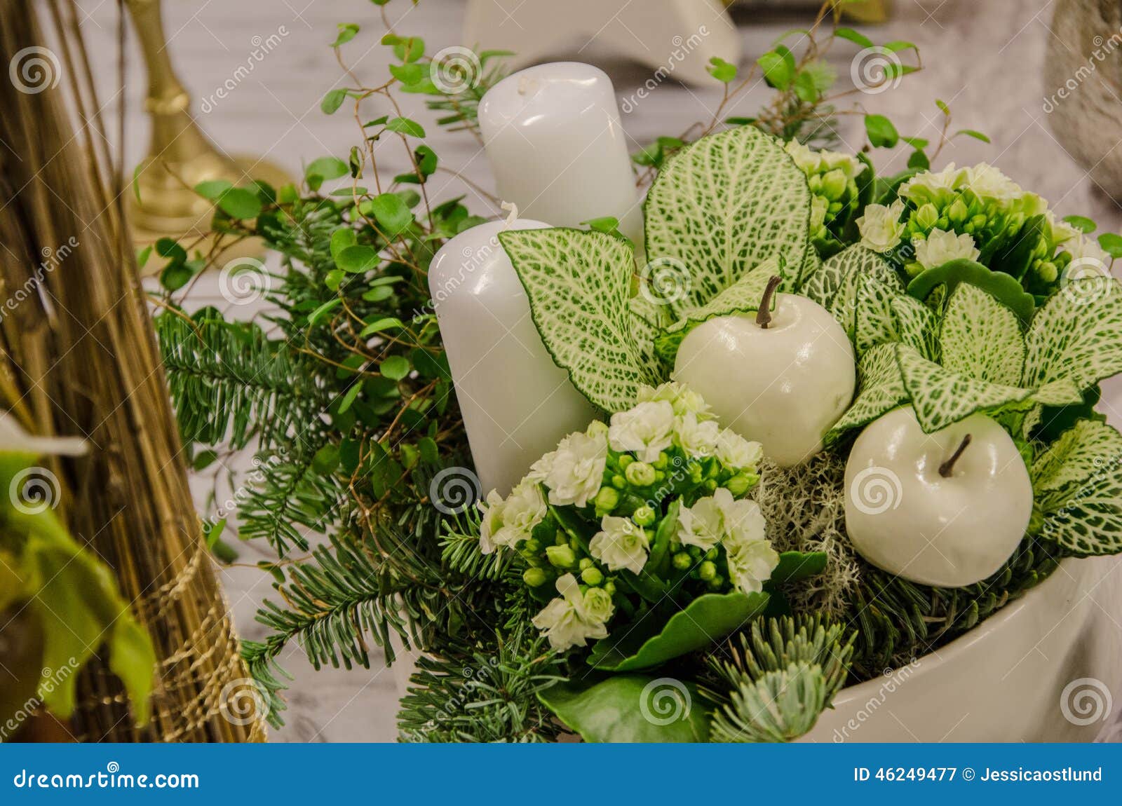 Plants with candles stock image. Image of clearblue, colorful 46249477