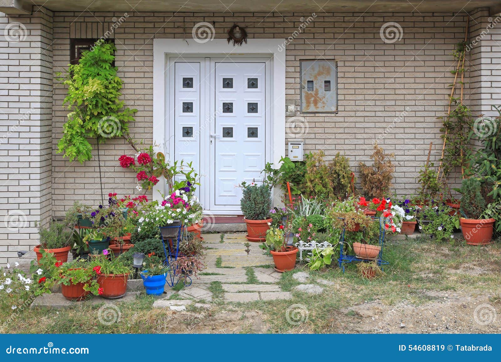 Plants Entrance stock image. Image of pots, home, gardening 54608819