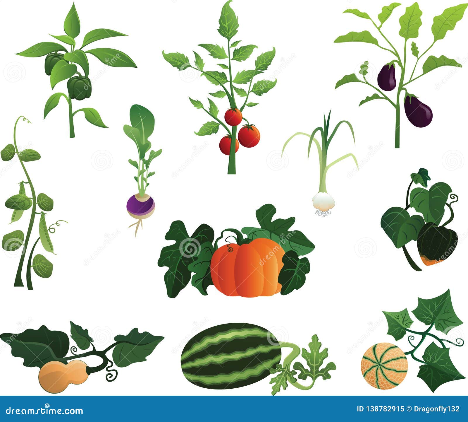 Plants from the Garden stock vector. Illustration of ...