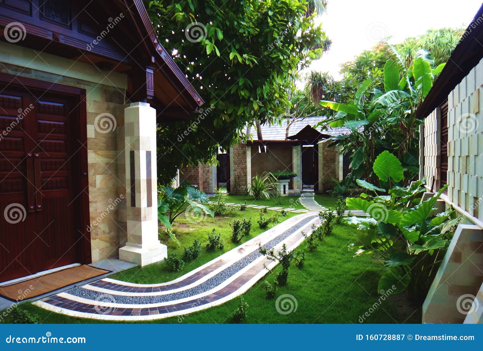 Plants in Garden, Maldives Islands Stock Image Image of island