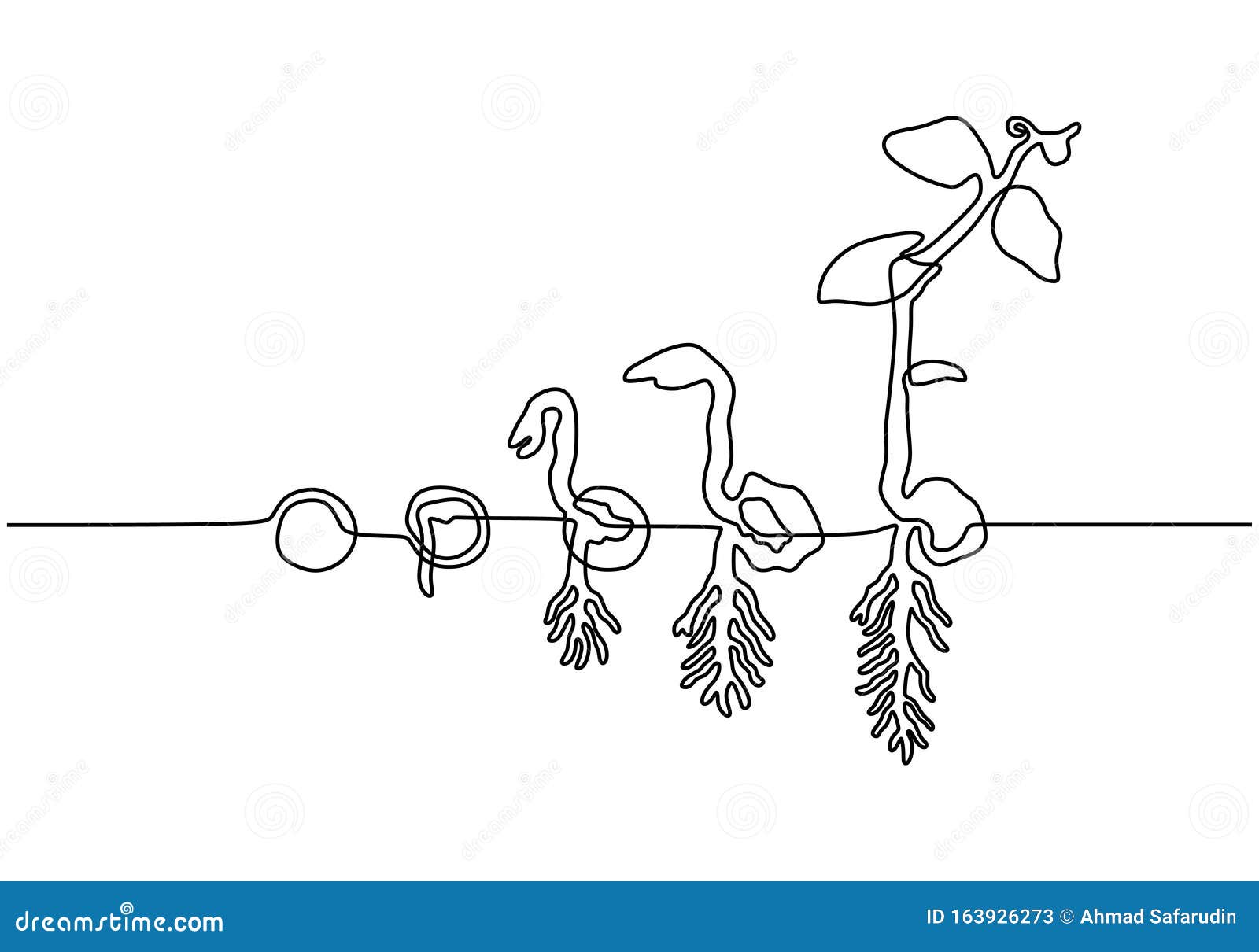 plants grow  on white background or plant seed, growing and cultivation with one line drawing style  .