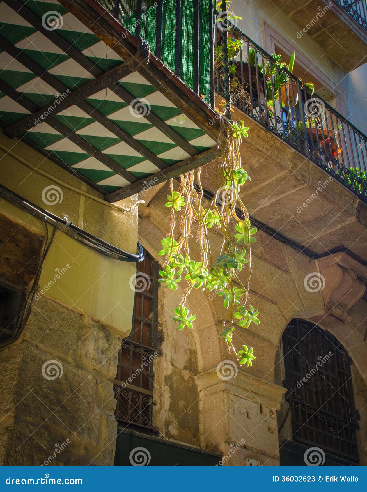 Plants hanging down stock image. Image of spain, town 36002623