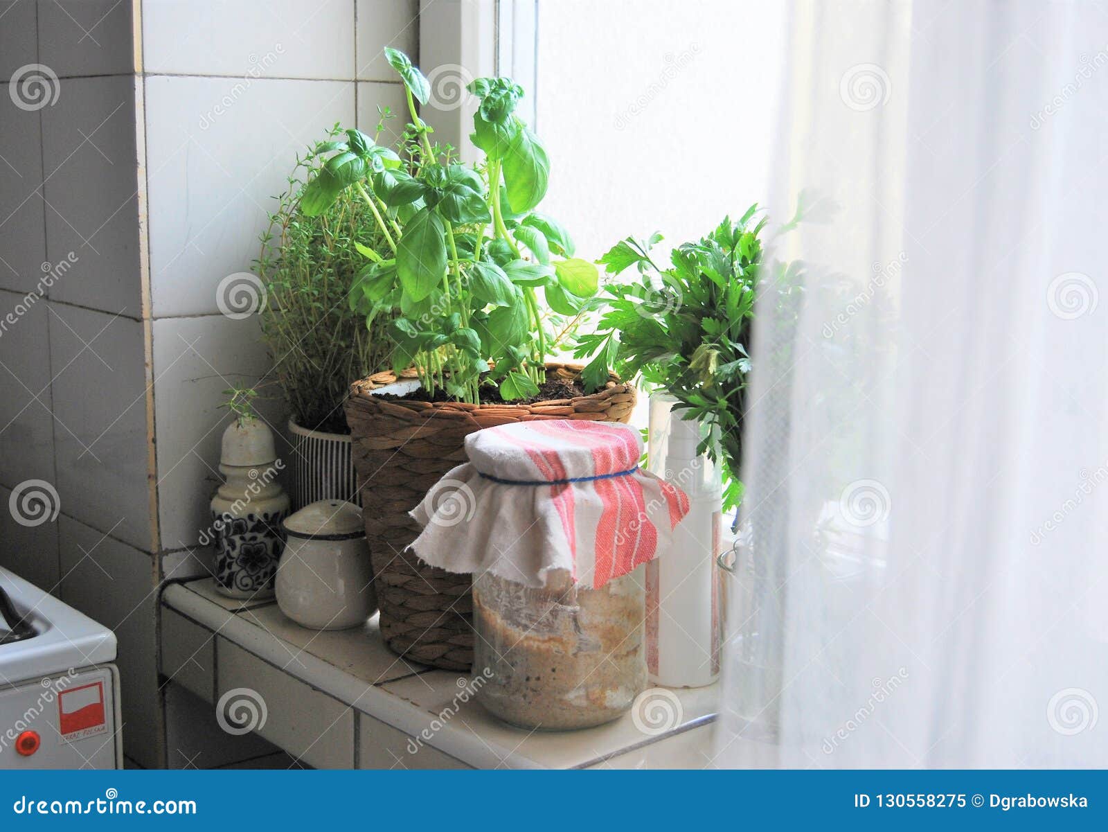 Herbs In The Kitchen Stock Image Image Of Window Rosemary