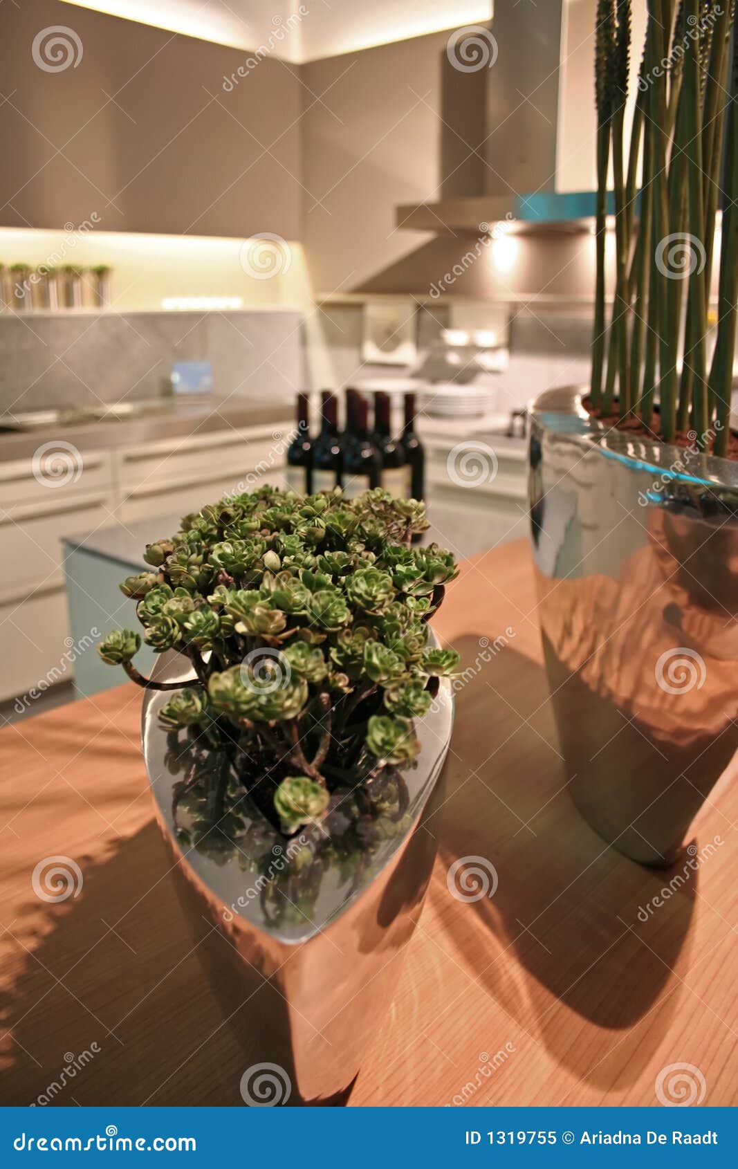 Plants in kitchen stock image. Image of dishes, beautiful 1319755